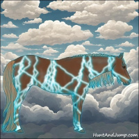 Horse Color:Gray Thunderstruck Chestnut 