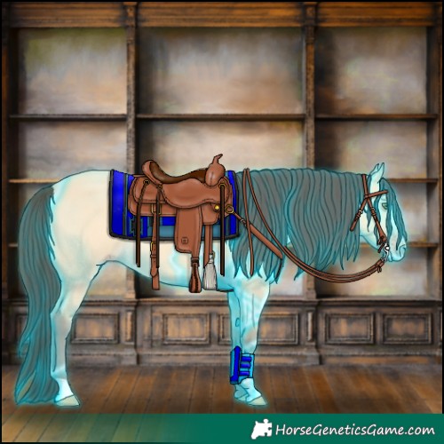 Horse Color:Thunderstruck Amber Cream Champagne Rabicano 