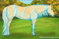 Horse Color:Thunderstruck Palomino 