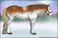 Horse Color:White Spotted Chocolate Palomino Tobiano Rabicano