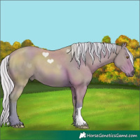 Horse Color:Watercolor Silver Bay 