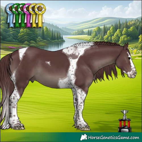 Horse Color:Platinum Chocolate Black Splash Tobiano 