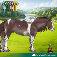 Horse Color:Platinum Chocolate Black Splash Tobiano 