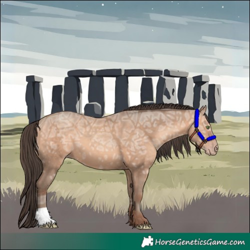 Horse Color:Sable Champagne Ice 