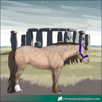 Horse Color:Sable Champagne Ice 