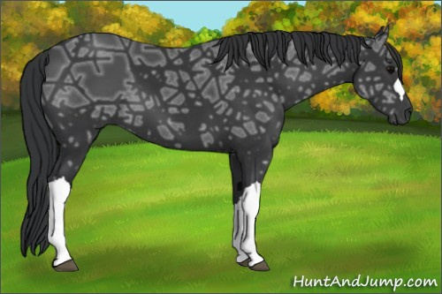 Horse Color:Black Ice 