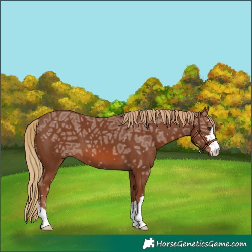 Horse Color:Chestnut Ice 