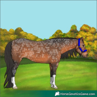 Horse Color:Brown Ice 