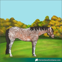 Horse Color:Brown Ice 