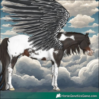 Horse Color:Liver Chestnut Tobiano Frame Snowcap