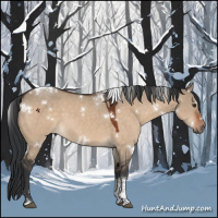 Horse Color:White Spotted Brown Dun Tobiano 