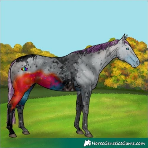 Horse Color:ERROR: UNKNOWN ANOMALY