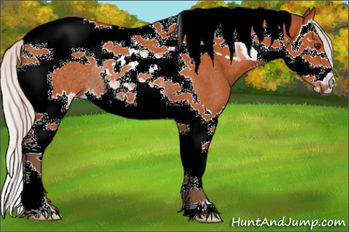 Horse Color:Silver Bay Splash Tobiano Rabicano 