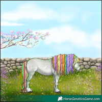 Horse Color:Painted Watercolor White Spotted Silver Brown Chinchilla Onyx