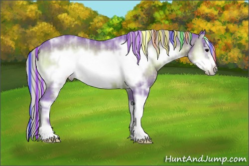 Horse Color:Painted Watercolor White Spotted Silver Brown Ice Onyx Sabino Frame Rabicano 