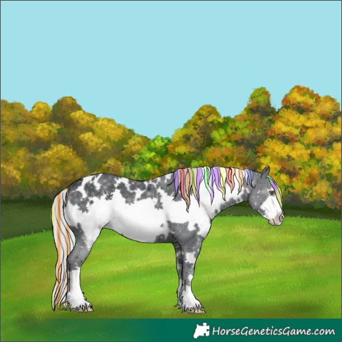 Horse Color:Painted White Spotted Silver Black Chinchilla Frame 