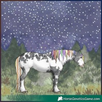 Horse Color:Painted White Spotted Silver Black Chinchilla Frame