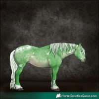 Horse Color:Watercolor White Spotted Silver Brown Chinchilla Ice Tobiano 