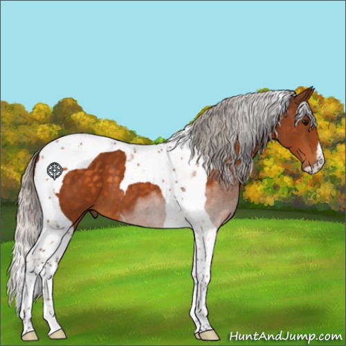 Horse Color:Silver Buckskin Tobiano 