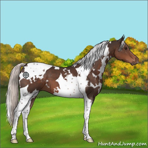 Horse Color:White Spotted Silver Brown Mushroom Tobiano 