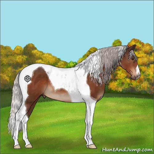 Horse Color:Silver Brown Tobiano 