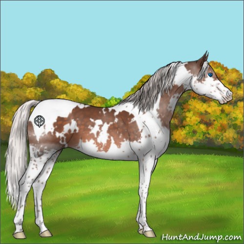 Horse Color:White Spotted Silver Brown Splash Tobiano 