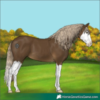 Horse Color:Chocolate Palomino Mushroom Splash 