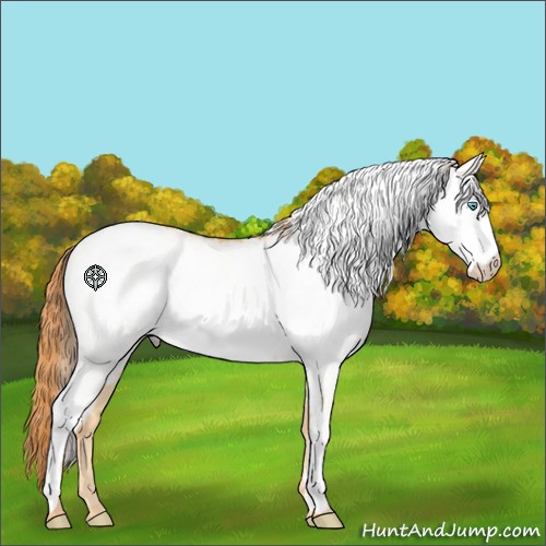 Horse Color:White Spotted Buckskin Pearl 