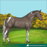 Horse Color:Silver Black Tobiano 