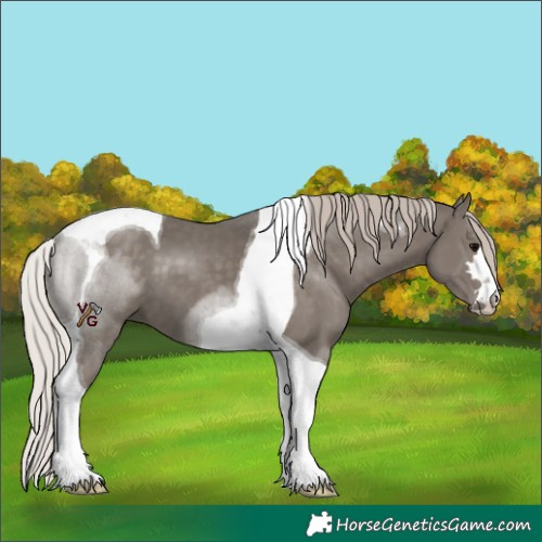 Horse Color:Silver Black Tobiano