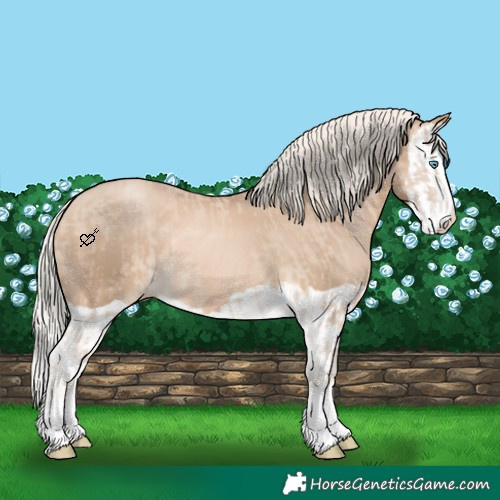 Horse Color:Cremello Splash and Chocolate Palomino Pearl Splash