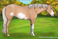 Horse Color:Silver Amber Champagne Frame 