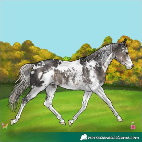 Horse Color:White Spotted Silver Smoky Black 