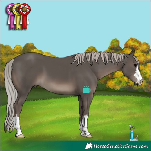 Horse Color:Silver Black 