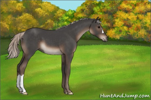 Horse Color:Silver Black 