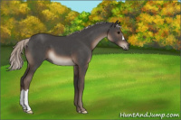 Horse Color:Silver Black 