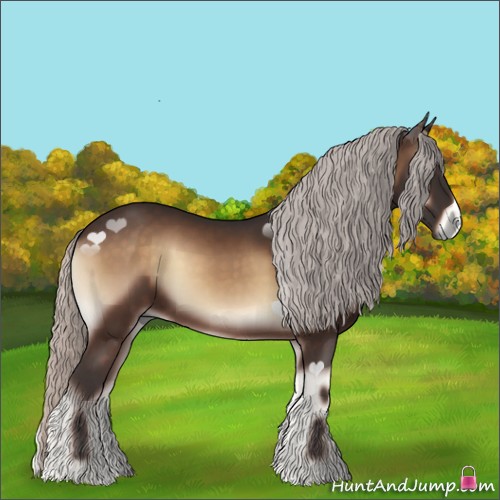 Horse Color:Silver Bay Onyx 