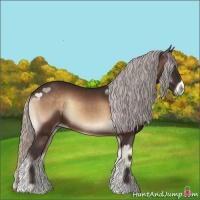 Horse Color:Silver Bay Onyx 