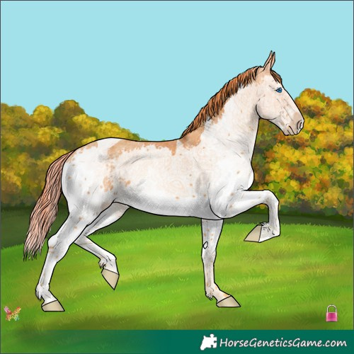 Horse Color:Watercolor Chestnut Splash Tobiano 