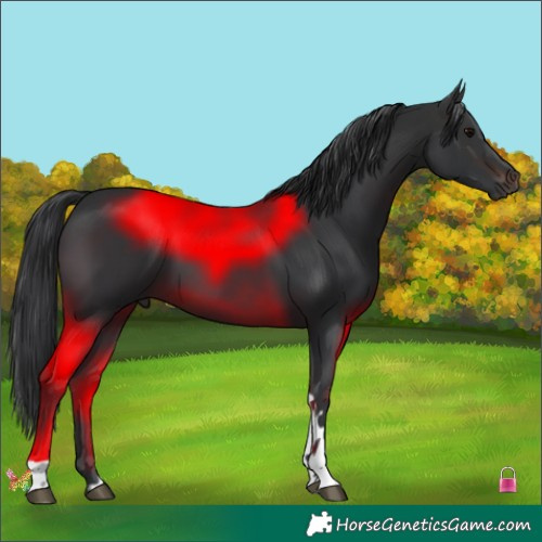 Horse Color:Brown Tobiano 