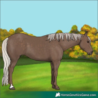 Horse Color:Silver Black 