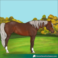 Horse Color:Silver Brown 