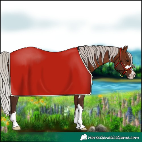 Horse Color:Silver Brown 