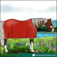 Horse Color:Silver Brown 