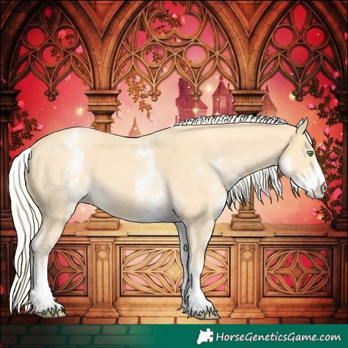 Horse Color:White Spotted Gold Cream Champagne 