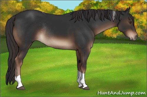 Horse Color:Liver Chestnut Tobiano Rabicano 