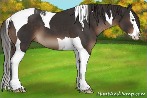 Horse Color:Liver Chestnut Splash Tobiano 