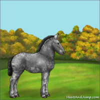 Horse Color:Black Ice 
