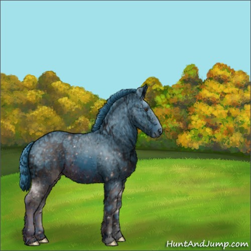 Horse Color:ERROR: UNKNOWN ANOMALY