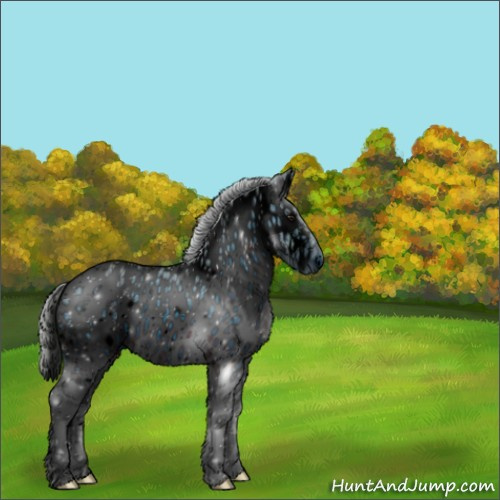 Horse Color:ERROR: UNKNOWN ANOMALY